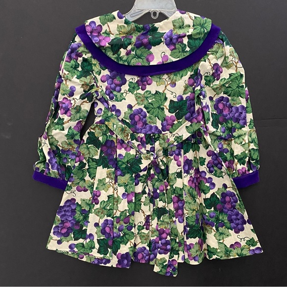 Caitlyn Scott Grapevine Grapes Print Girl's Dress Velvet Vintage Autumn - Picture 2 of 6
